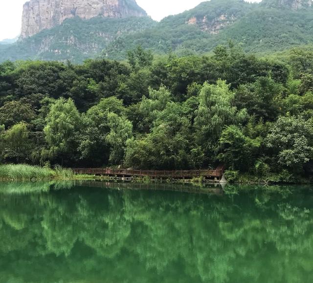 周边游|一处从天而降的瀑布,还有猕猴到处乱窜,让你明白河南到底有多美