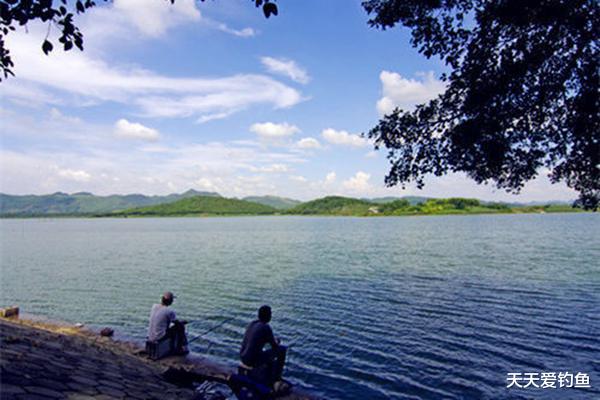 []野钓鱼情复杂多变，这些细节绝对成败，别不信，以后可别忽略了！