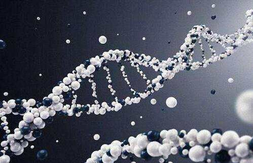 隔离|人类是不是和所有生物之间都存在生殖隔离?