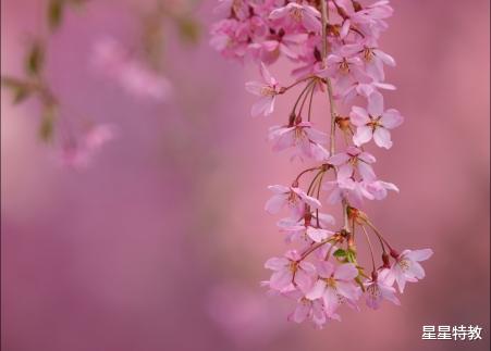 生肖|财运喜人的四生肖，7月力挽狂澜，事业蒸蒸日上