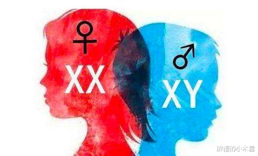 『染色体』人类性别不止男和女,还存在拥有两套生殖器官的双性人