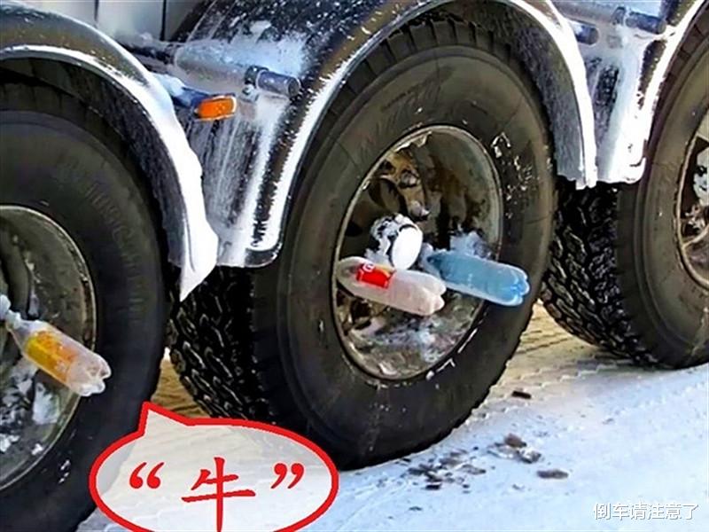 轮胎|为什么国外货车司机把矿泉水瓶插在轮胎上？国内车主：值得学习！