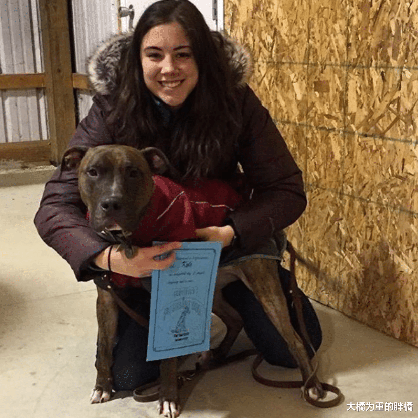 将被安乐死的狗狗，女子却对它莫名的不舍，它唯有拥抱女子来感恩