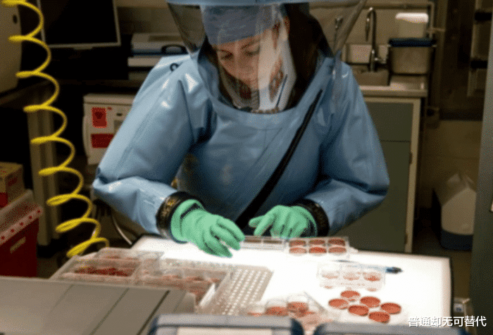 美国：全球确诊破240万！101名专家找到病毒源头，要求摧毁掉美军实验室