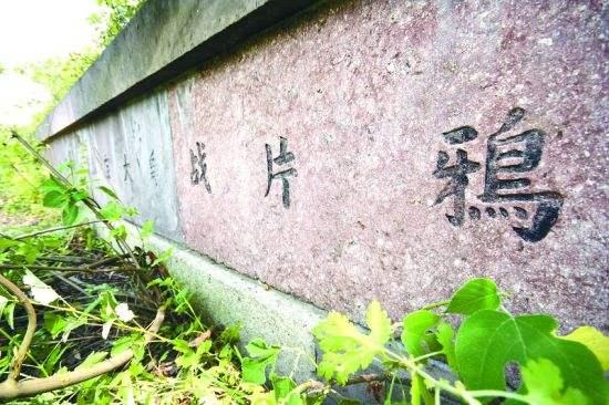 [清军]鲜为人知的藏族远征军，维护清朝最后的体面，代价是永不归乡