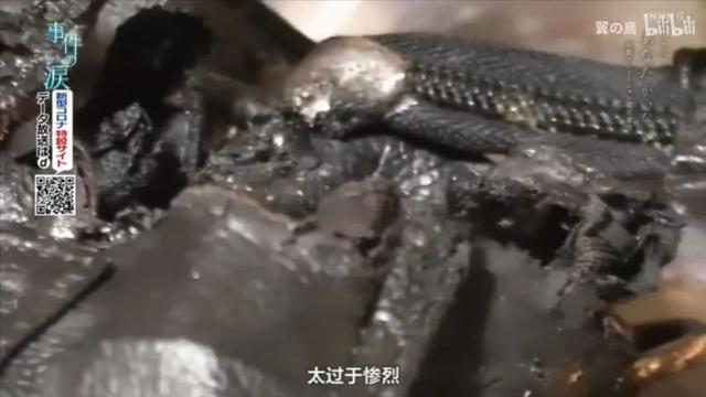 InsDaily|纵火案后的第364天,残杀了36人的恶魔,至今还活得好好的...