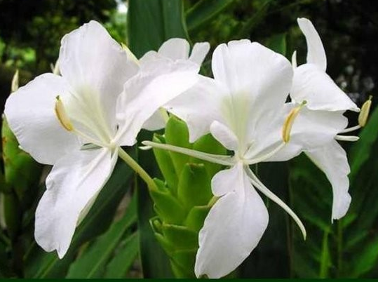 『生肖』未来3个月，喜事连连，4属相横财大发，贵人相帮，事业一飞冲天