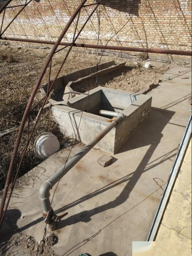 与多肉结缘，城市小伙跑到农村，看他如何建一个多肉花园（一）