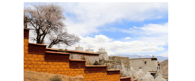 西藏|西藏未来最宜居的城市，昌都和林芝落榜，不是日喀则，更不是阿里