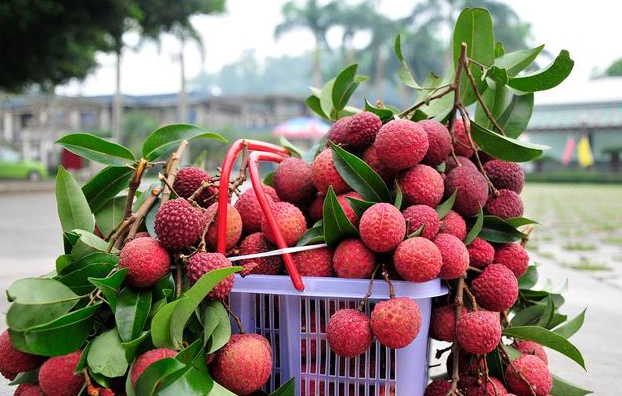 子宫肌瘤|四类食物，吃得越多子宫肌瘤越大！女性敞开吃三物，子宫或报答你