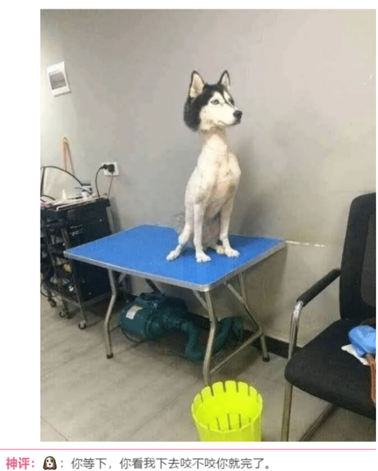 小姐姐|“大家口中的烂高中到底是什么样的？”哈哈哈评论区刷新了我的认知