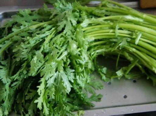 『咳嗽』咳嗽就怕这菜,碰到多买一些,清香下饭,降脂止咳,胖子越吃越瘦
