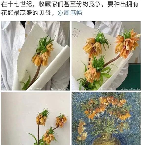 周笔畅■她活成了最令人羡慕的样子？