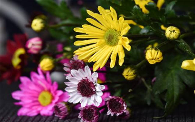 生肖|下半年，进入“上上签”的3个星座，福运来，好运到！