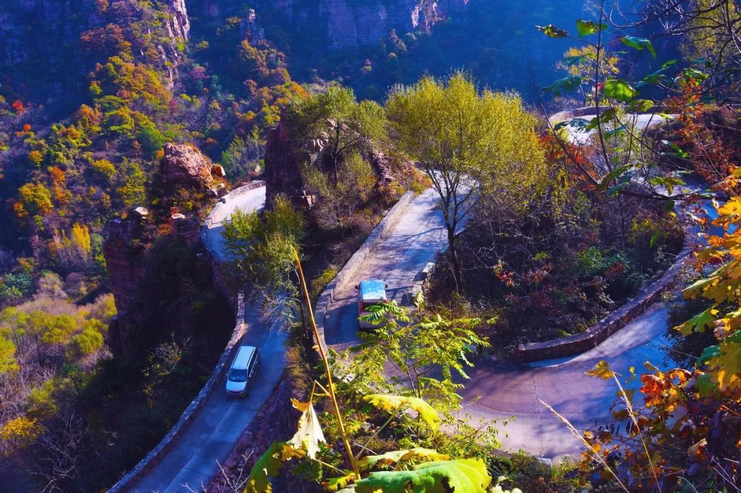 林芝|这才是国庆小长假最值得去的14个地方，莫负大好秋色，来一场避开人潮的旅行吧