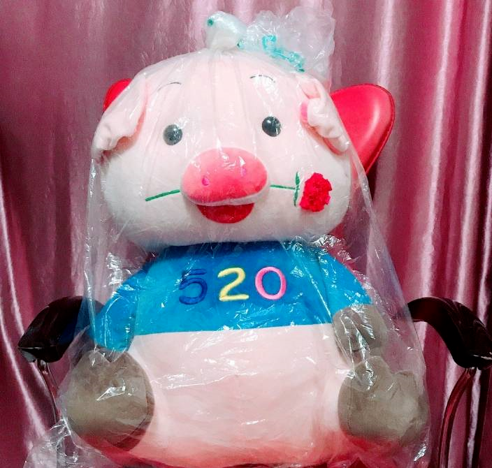 []“网上买了一件衣服，结果我妈怀疑我是变态？？？”