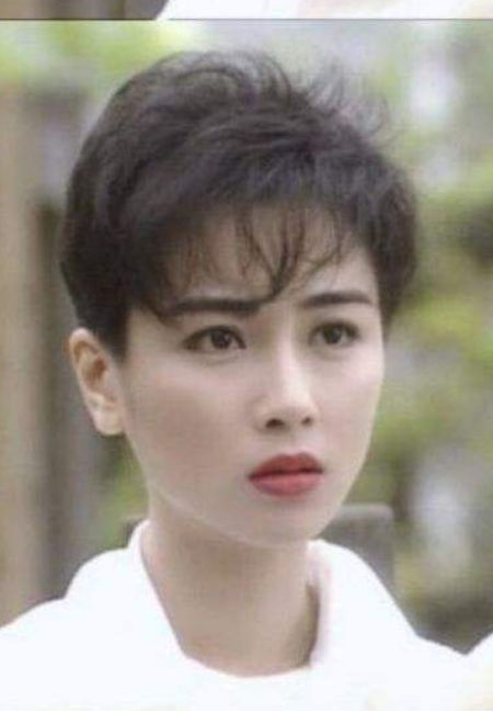 陈法蓉|陈法蓉：为刘德华退赛环球小姐，4段感情坎坷，54岁现状如何