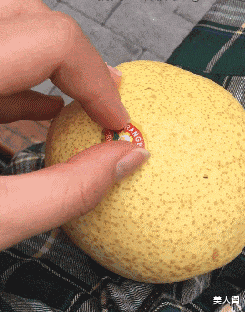 美人阁 永远不要和商人斗智，又亏了哈哈哈