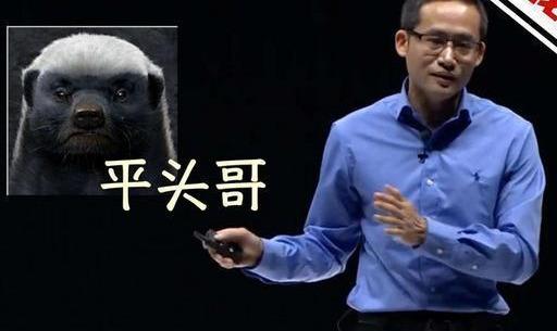 【华为】芯片研发只知道华为？你太小看中国人了！他的研发投入不比华为弱