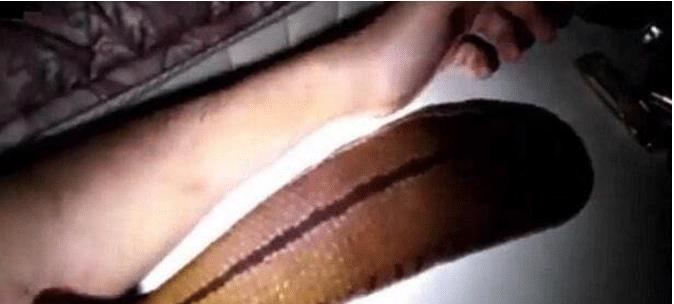 [食人鱼]世界上最恐怖的四种动物，巨型蚂蝗一口能吸人半身血