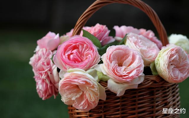 生肖：在5月上旬，爱情回归，相思难断，倦鸟归巢的三大星座