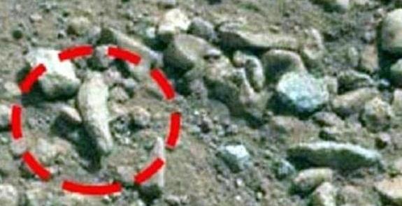 「火星」火星上的新发现，科学家：人类外星移民成为可能！