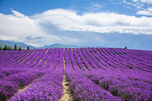 「天蝎座」3月末，真情涟漪，芳华流转，情深意切，将遇到真爱的三大星座