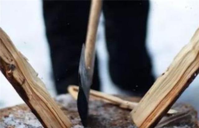 小志的历史观点|18年前，女博士因没能资助28岁弟弟买房被父亲杀害，父亲：不后悔