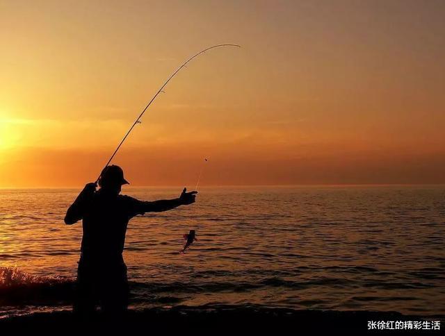 饵料|鱼饵料好一点,中鱼率才高?正相反,难怪你的篮子总是空空的