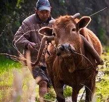##东北地区是什么时候纳入中国版图的？