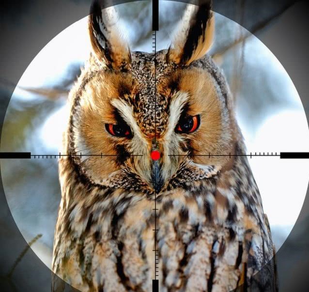 科学家:科学家发现人体“第三眼”,它已离开原来位置,不在脸部表面