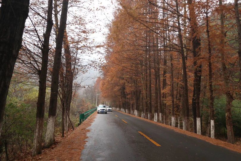 留坝|陕西留坝,藏着中国最美乡村公路,高江路,这里有秦岭最惊艳的秋