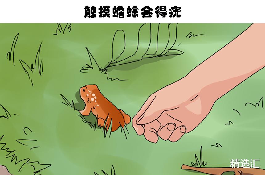 鸵鸟|谬论揭秘：一直以来，你可能总在相信着的6个动物谬论