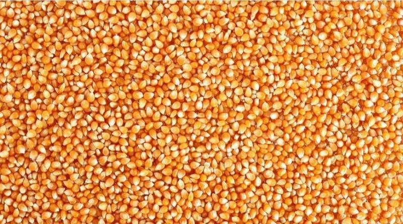 【神秘人】为何钓鱼的时候，总有“神秘人”搭讪？这些人另有目的！