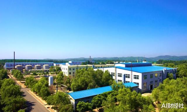 「the nine」天合化工遭强制退市，上市仅20天停牌5年，曾被假高官骗走1.44亿