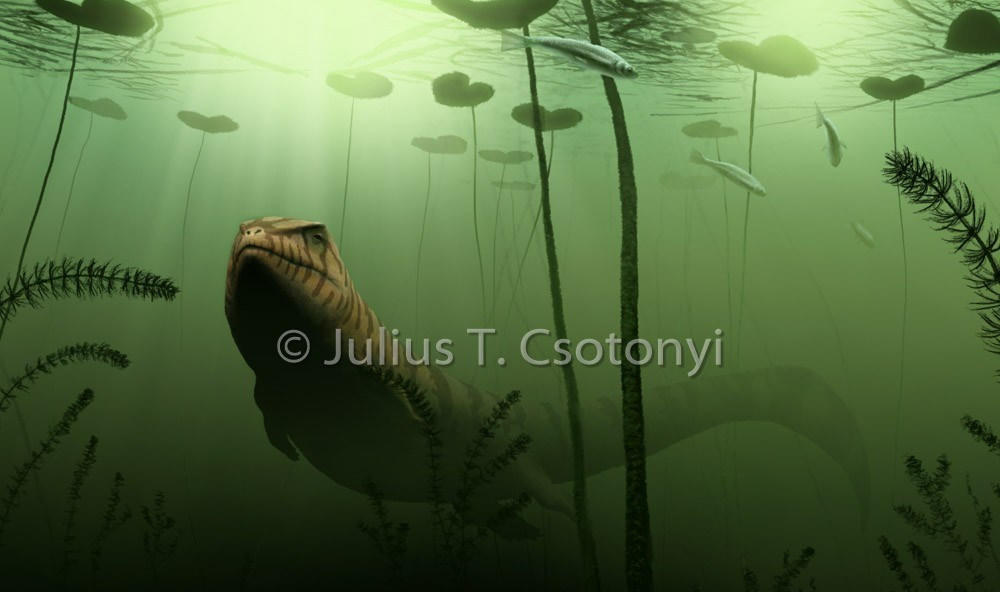 沧龙▲潘诺尼亚龙：6米长的匈牙利淡水怪兽