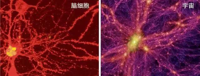 「」宇宙早已进化出意识，奈何人类身处维度过低，听不懂它的语言
