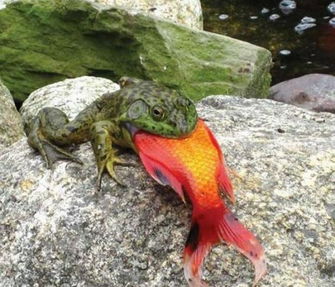 []可否还记得小时候曾做过的事情.....