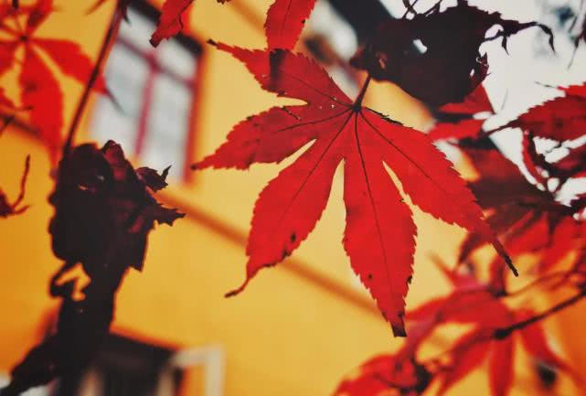 「」从4月底起，这3生肖人生“柳暗花明”，偏财运势突出，前途光明