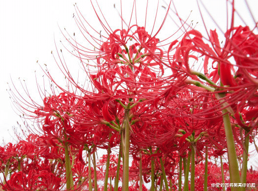 「大富大贵」未来3个月喜迎开门红,4属相横财如雨,大富大贵不差钱