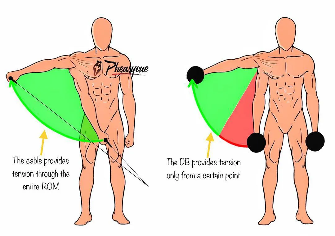 深蹲|本文极易引起健身姿势刷新，请务必认真阅读