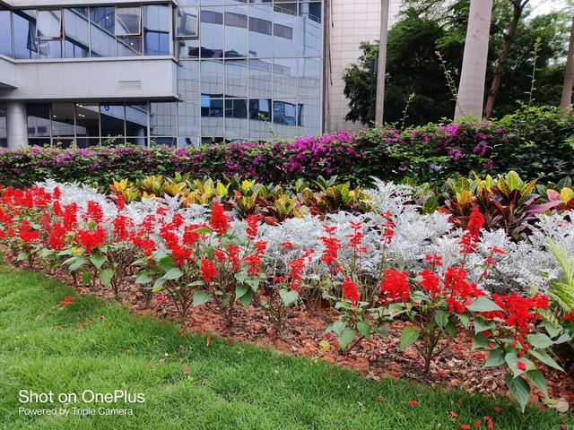 5G|一定要买顶级5G旗舰？这些轻旗舰手机了解一下