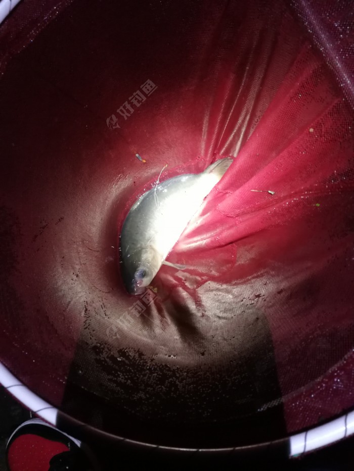 饵料|新车新鞋新头灯新配方，大鱼小鱼齐入护