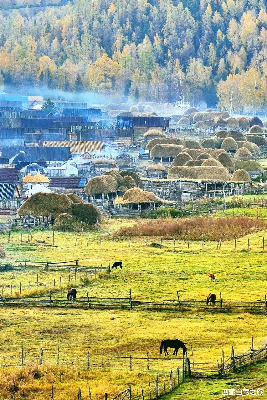 自驾|秋天最美的8条自驾路线！9月10月美成天堂，错过就要再等一年！