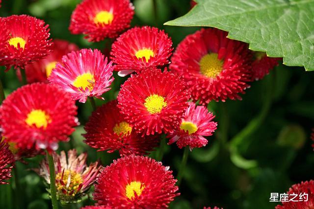 [天蝎座]5月23日-27日星座运势：天蝎干净利索，水瓶独立自主