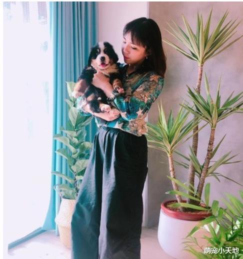 笑容没变！伯恩山膨风式成长7个月，惊人的差异对比照让人笑翻