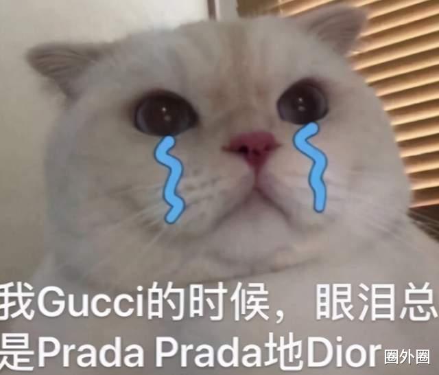 郑爽|张恒承认当爸，2个孩子的妈妈是郑爽？Prada股票直线下跌