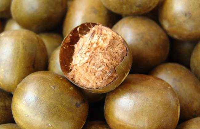 #咽喉炎#它们堪称“天然止咳药”，每天泡水喝一杯，咽喉炎或不药而愈