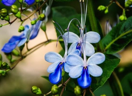 『生肖』3月20号起财神保佑,生意越做越大,注定能发大财享富贵的生肖