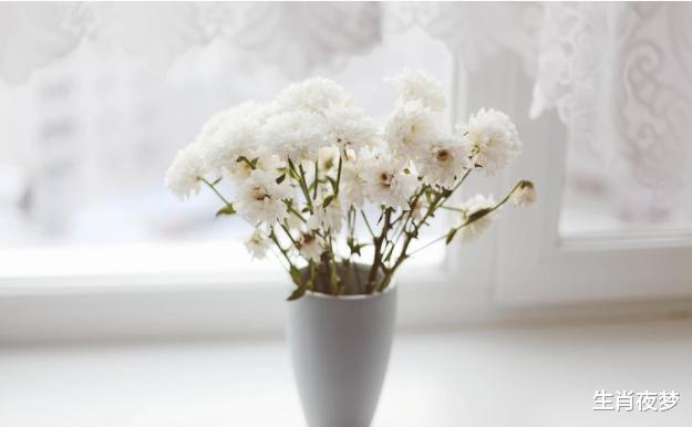 生肖|10月初，桃花朵朵，缘分未尽，旧情人主动心软，爱乱了分寸感